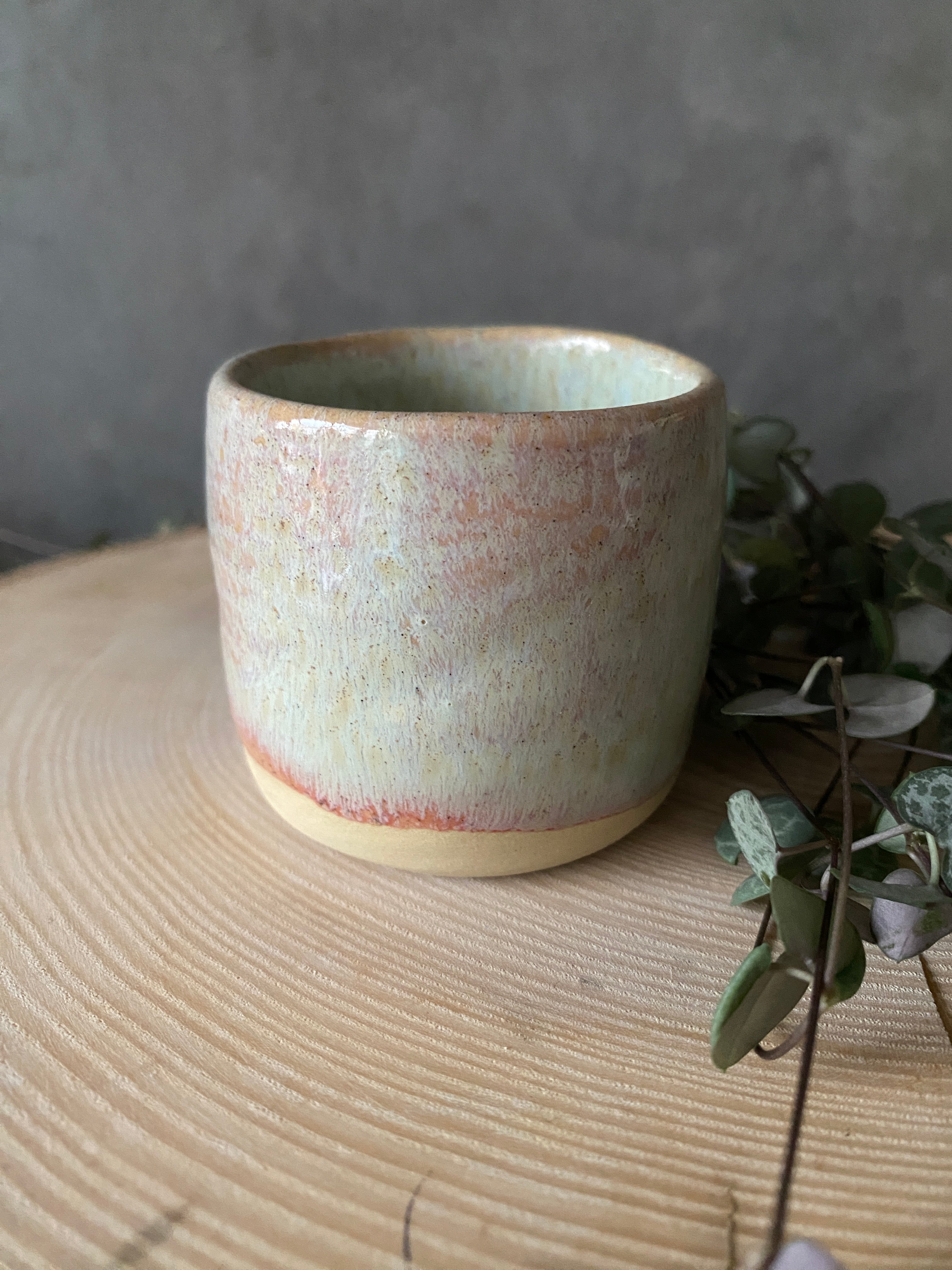 Šálek Kropenatý Junior II.