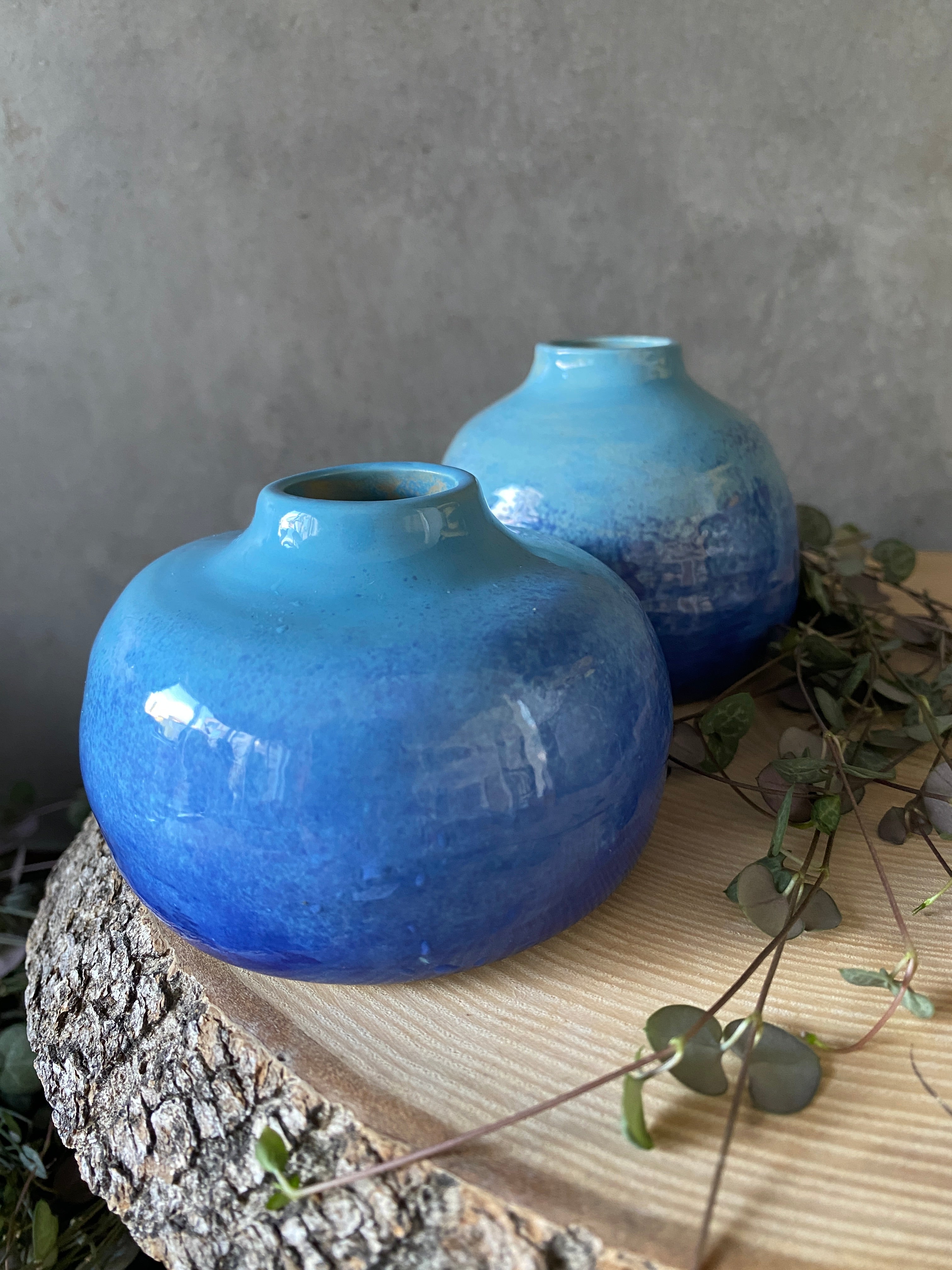 Vázička Modroň II.