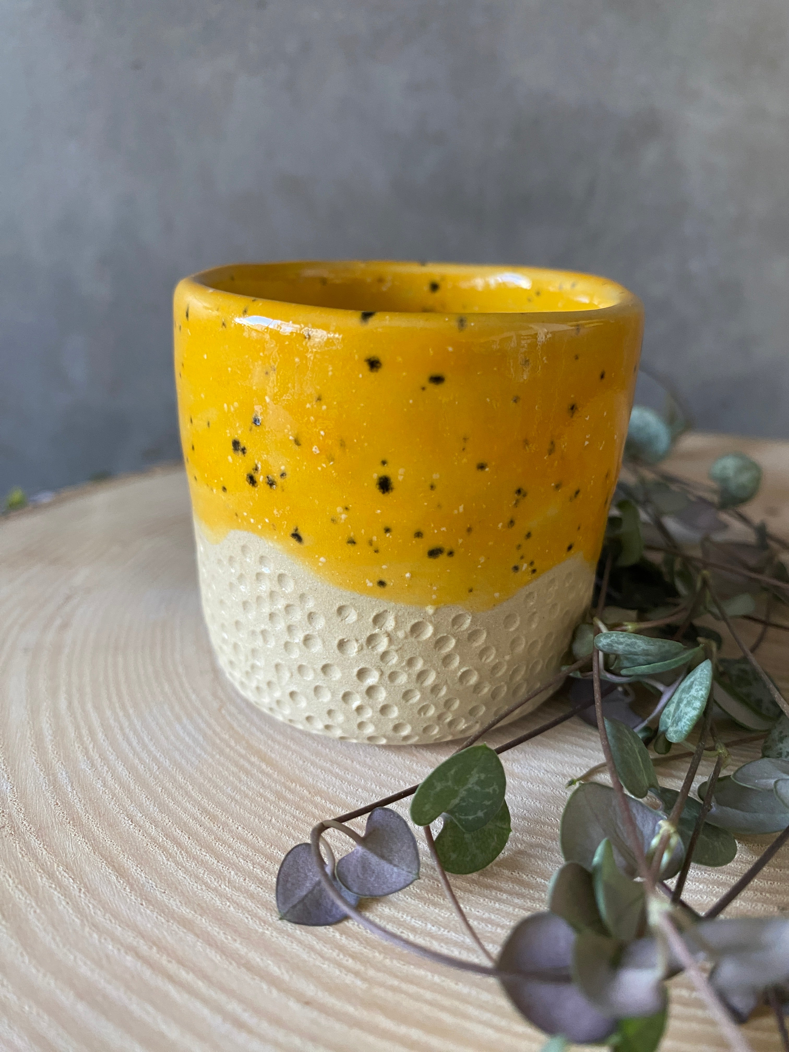 Šálek Marakuja Junior I.