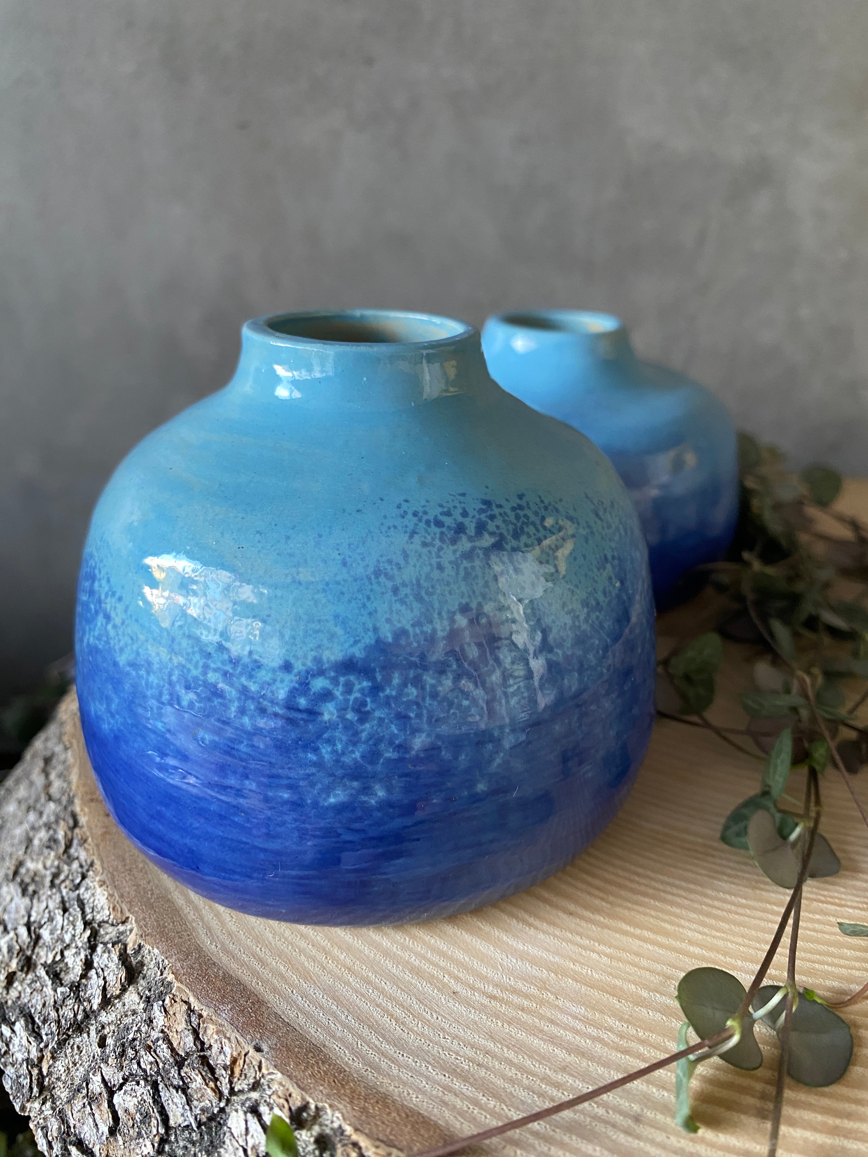 Vázička Modroň I.