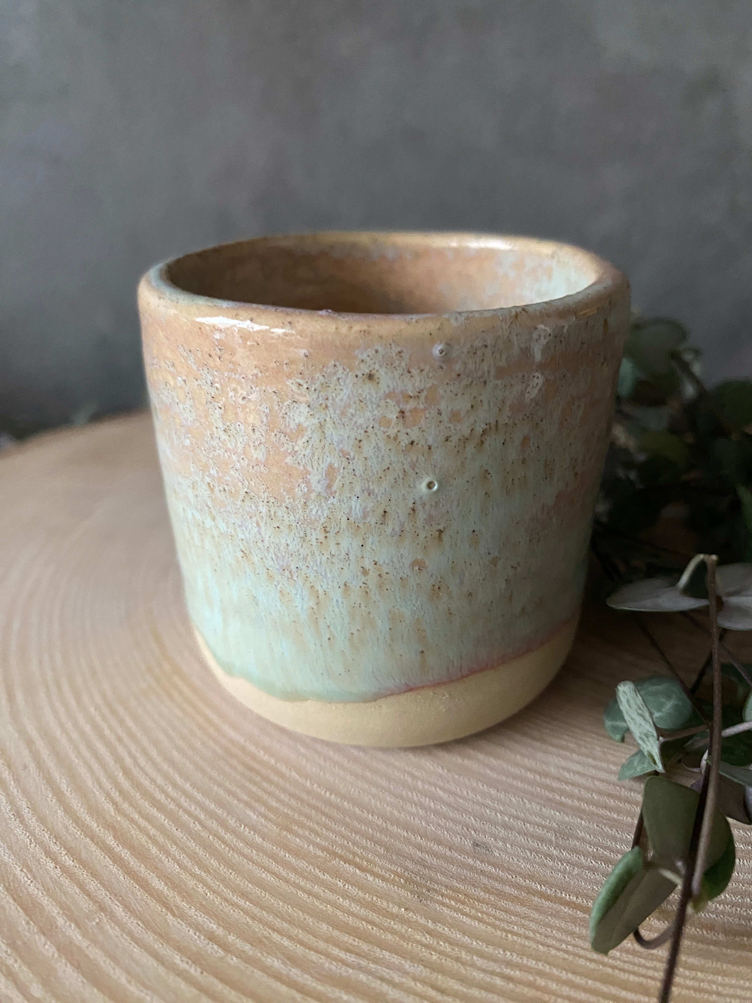 Šálek Kropenatý Junior VI.